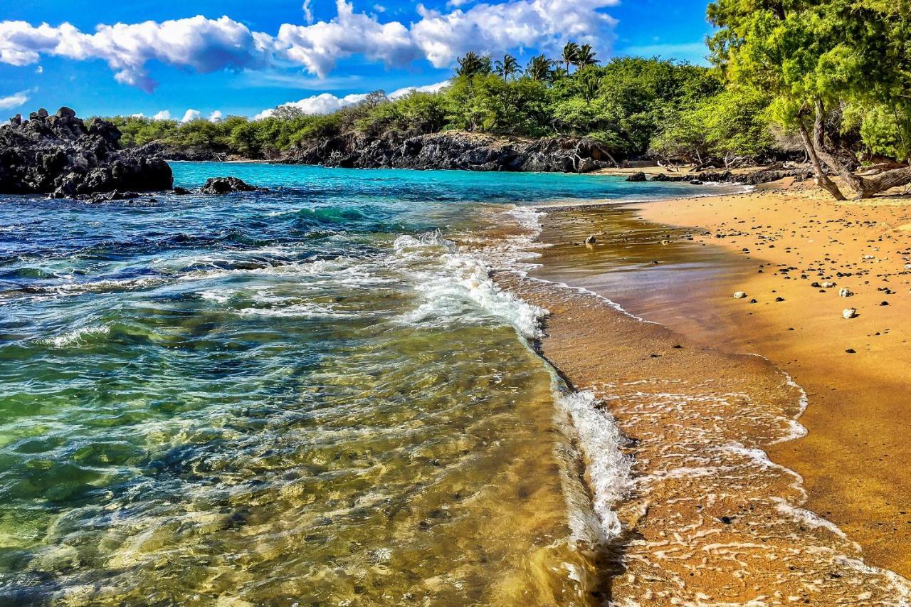 Kona Bali Kai #341 Leilighet Kailua-Kona Eksteriør bilde