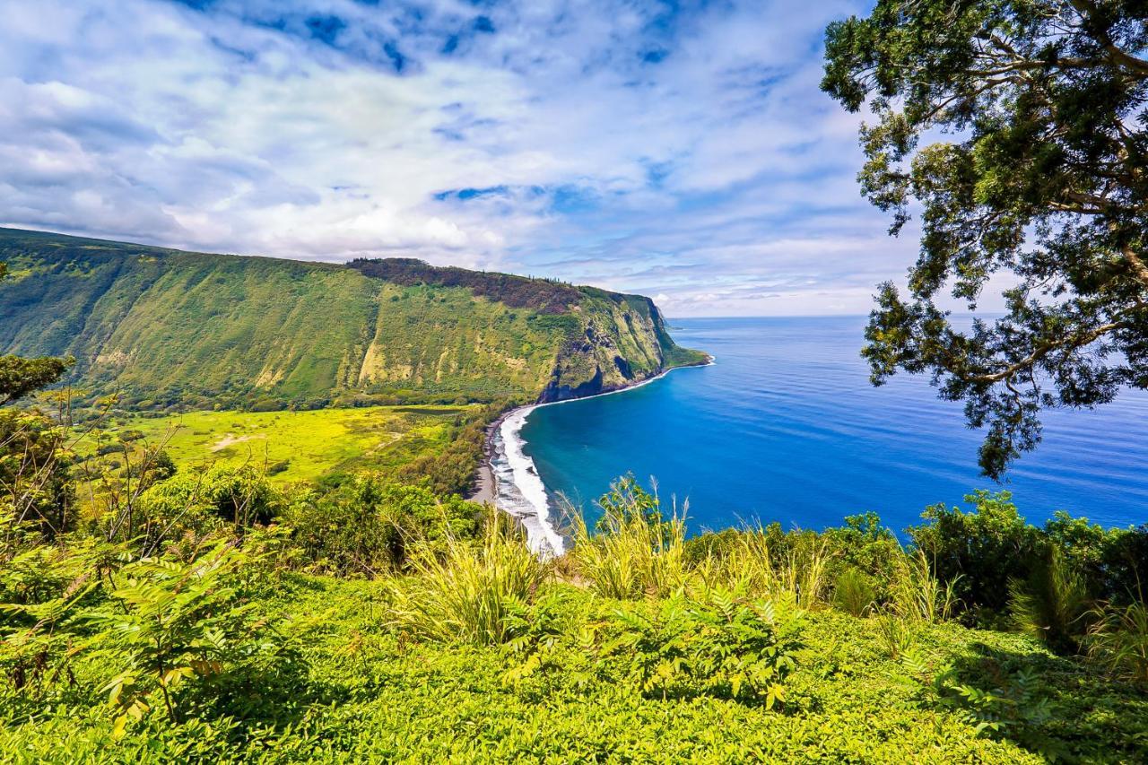 Kona Bali Kai #341 Leilighet Kailua-Kona Eksteriør bilde