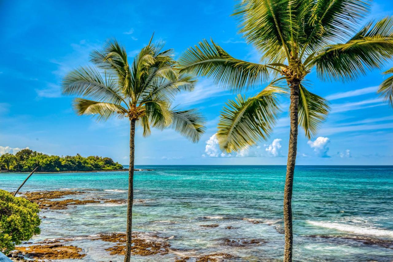 Kona Bali Kai #341 Leilighet Kailua-Kona Eksteriør bilde